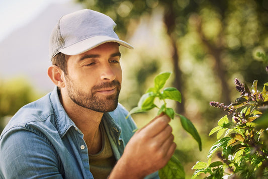 🌿 Why USA-Grown Herbs and Spices Matter More Than Ever
